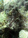 2011-09-14 00-56-06 Steven